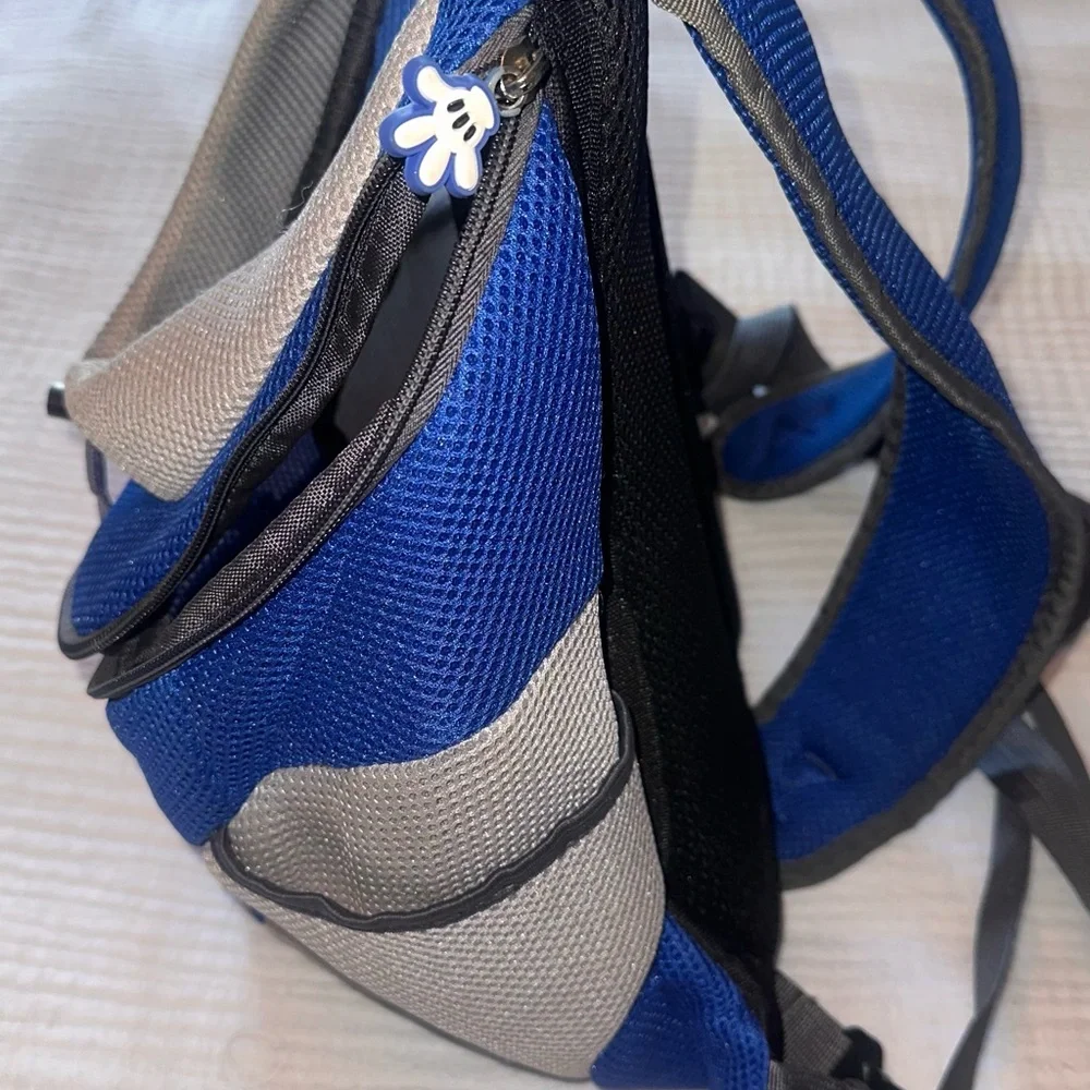 Blue and Gray Small Pet Backpack